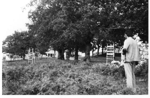 Carballeira de San Xusto