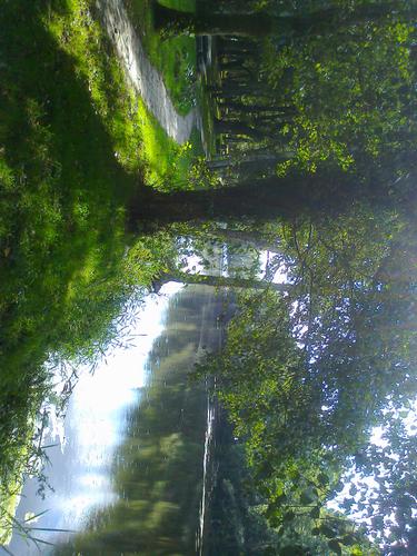 foto0046.jpg