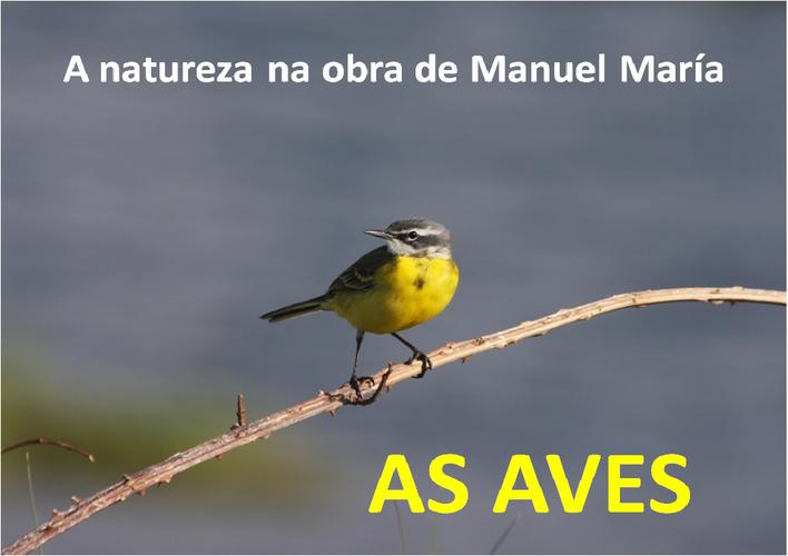 as-aves.jpg