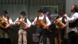 Grupo de Zanfonas da Tradescola